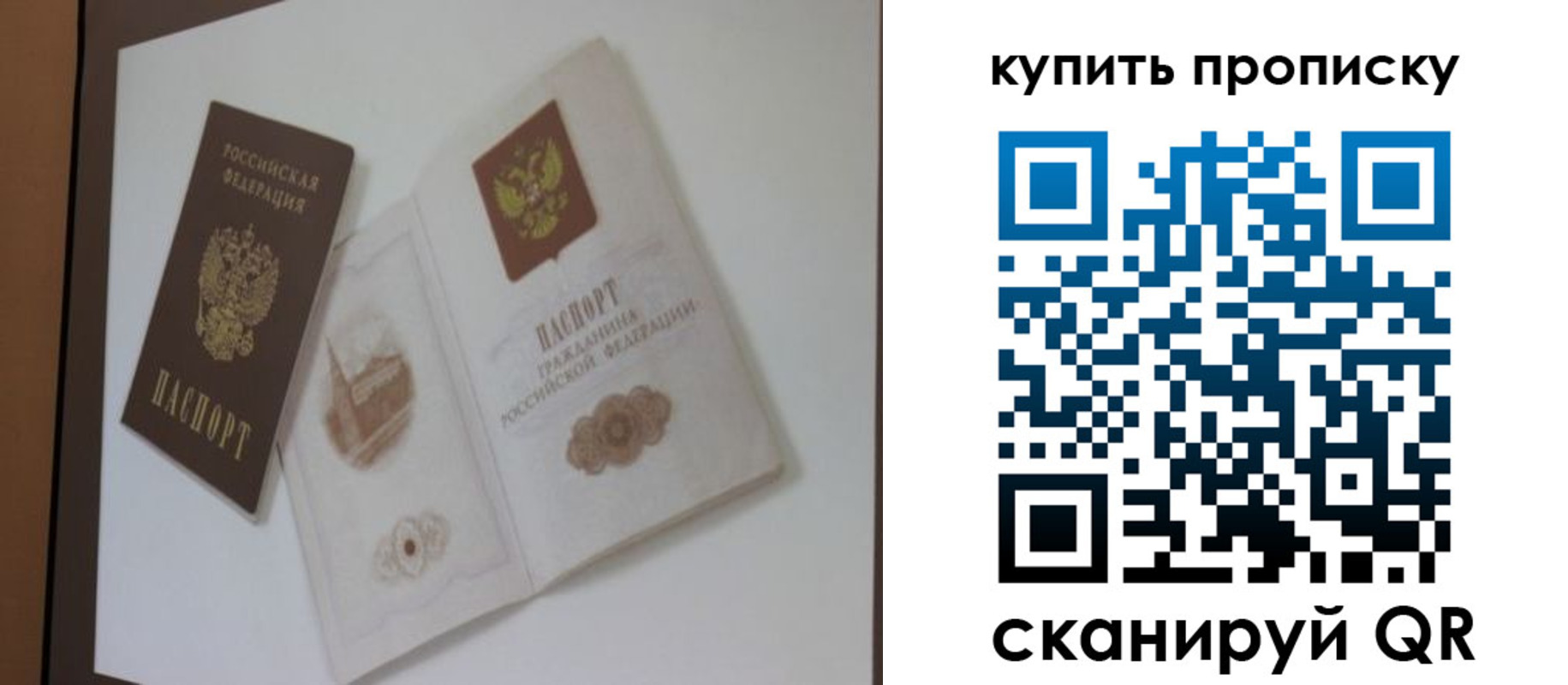 где прописаться в Вязьме